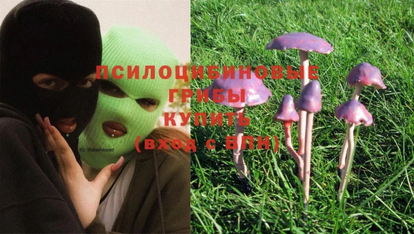 соль курить ск Семикаракорск