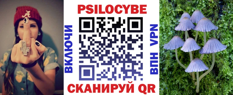 Купить  Юрьев-Польский  Псилоцибиновые грибы мухоморы 