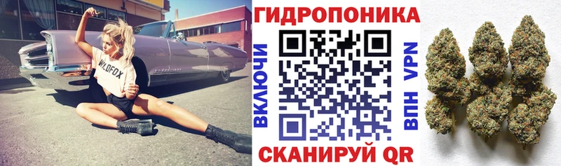 Шишки марихуана гибрид  Купить  Юрьев-Польский 